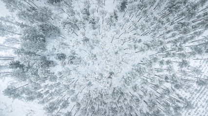 Beautiful winter scenery with aerial look over the tree tops of pine forest. Moody landscape of frozen trees on a cold winter's day. Creative shapes of forest in snowy weather. 