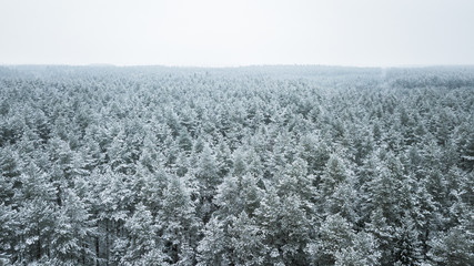 Beautiful winter scenery with aerial look over the tree tops of pine forest. Moody landscape of frozen trees on a cold winter's day. Creative shapes of forest in snowy weather. 