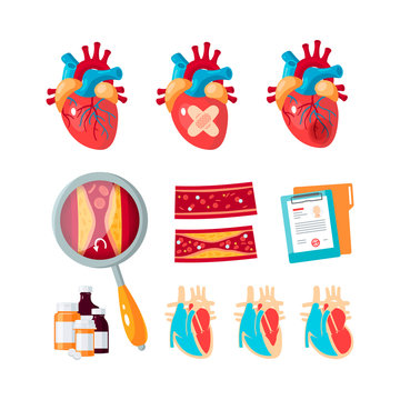 Vector set of cardiology icons in flat style