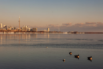 Naklejka premium Toronto, CANADA - February 1th, 2019: Panoramic Canadian winter landscape near Toronto, beautiful frozen Ontario lake at sunset. Scenery with winter trees, water and blue sky.