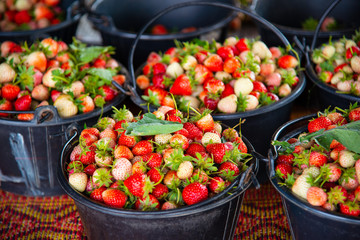Baskets of fresh red strawberries at the farmers market in chiangmai.