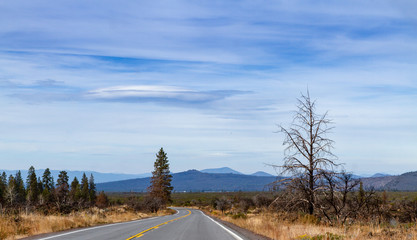 Long windy road in California