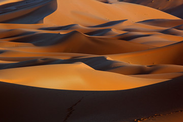 Fototapeta na wymiar Moroccan Sahara sand dunes and shadows at sunset