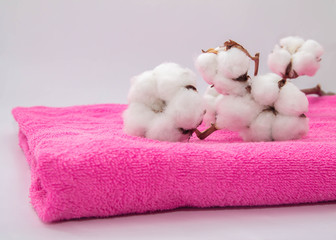 Obraz na płótnie Canvas white cotton flowers on bright pink cotton towel close up