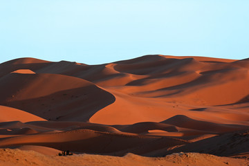 Naklejka na ściany i meble Moroccan Sahara sand dunes and shadows at sunset