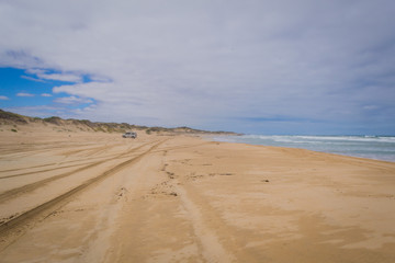 Fototapeta na wymiar Australia sand beach landscape with offroad car