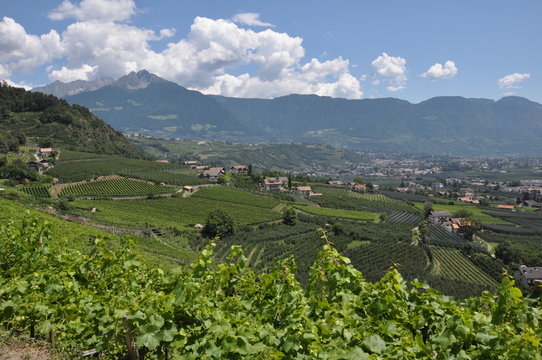S&uuml;dtirol 1, Blick vom Alguner Waalweg auf Dorf Tirol und den Ifinger