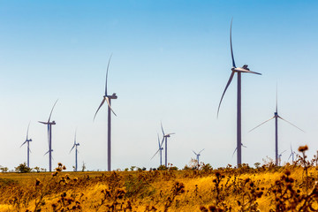 Wind turbines on a field. Wind farm. windmill-powered plant. 