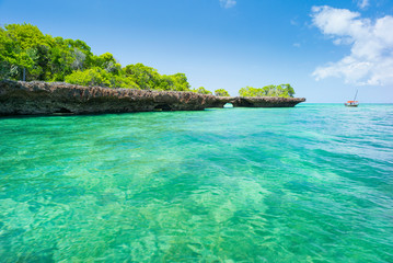 Naklejka premium view to stone island with mangrove forest from sea view in Zanzibar