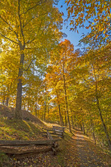 Fototapeta na wymiar Quiet Mountain Trail in the Fall