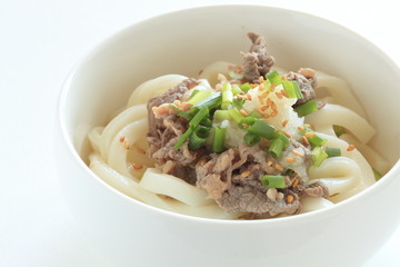 Japanese food, beef and udon with spring onion