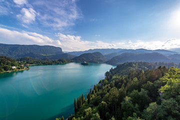 Fototapeta premium Forest and Lake Bled