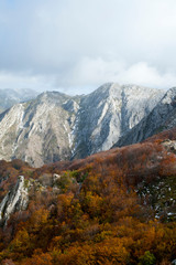 Mountains with beech forests in the north of Spain.