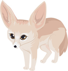 Fennec Fox Illustration