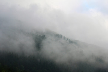 Fototapeta premium Mountains of Carpathians are in morning fog. Ukraine