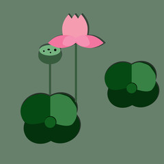 Images of paper art, pink lotus and lotus leaf