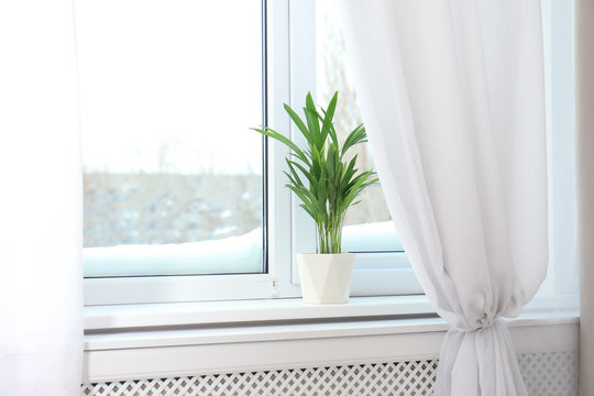 Window with open curtains and houseplant on sill