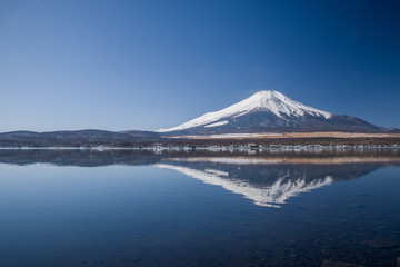 山中湖と富士山（冬）