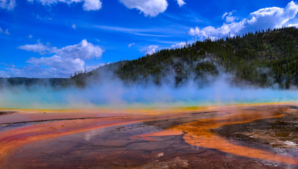 Yellowstone National Park Geyser