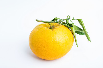 Chinese Spring Festival tribute fruit fortune orange