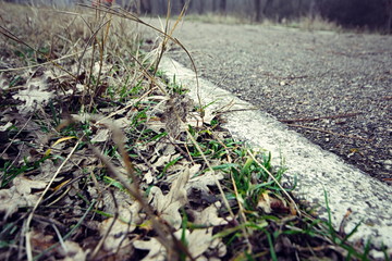 Asphalt road macro