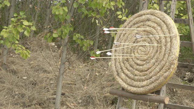 Round Straw Archery Target  shield   shooting Arrows Bow