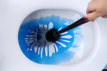 Young woman cleaning a toilet bowl