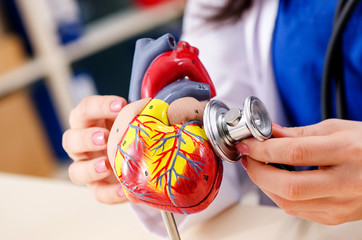 Female doctor cardiologist working in the clinic 
