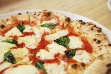 最高のマルガリータ