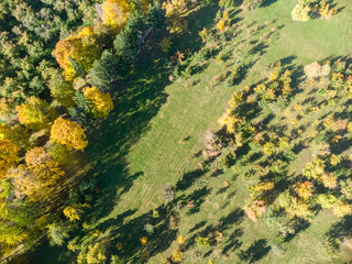 Fototapeta na wymiar aerial view of park during fall season. park trees with colorful gold foliage