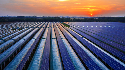 Aerial photography, solar photovoltaic panels for greenhouses on the roof of greenhouses