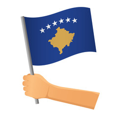 Kosovo flag in hand