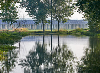 Lake water reflection maps out solar photovoltaic area outdoors