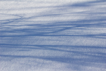 Winter snow texture abstract background with tree shadows cast from low angle sun