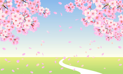Obraz na płótnie Canvas 桜の木の枝と　青空と草原の一本道