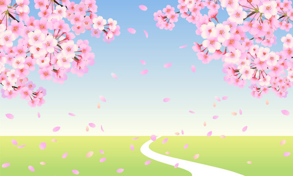 桜の木の枝と　青空と草原の一本道