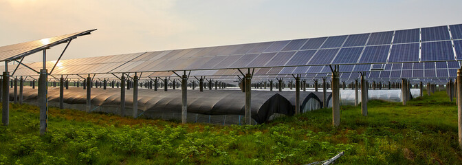 Vegetable cultivation thermostat greenhouse under the solar photovoltaic solar cell panel