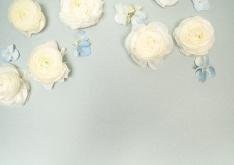Obraz na płótnie Canvas White Ranunculus Floral Background Flat Lay on Pale Blue