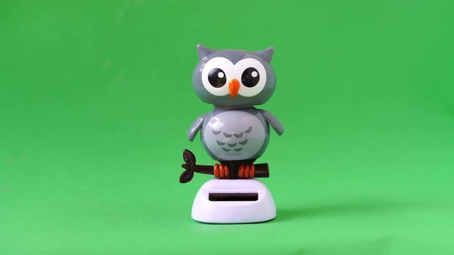 Owl doll dancing on green screen background.