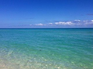 landscape picture of the Atlantic Ocean, South Beach, Miami, Florida with clear, blue water in the foreground.  The seawater has varies shades of green and blue to the horizon.  