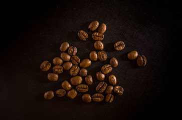 coffee isolated close seed concept