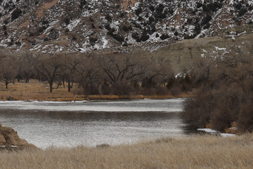 river in winter