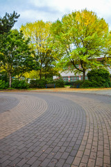 Paved driveway under the trees in a park on autumn season in Canada