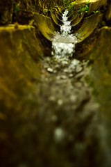 Water flowing from the mountain to the river with calm steady stream with fresh air in the jungle and rainforest in tropical asia paradise island