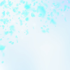 Fototapeta na wymiar Turquoise flower petals falling down. Energetic ro