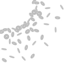 Indian rupee coins falling. Scattered black and wh