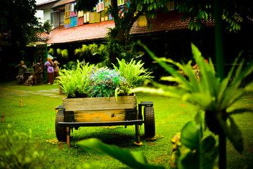 Obraz premium Rain forest tropical open air garden for people to sit and enjoy fresh air to do yoga and relaxation