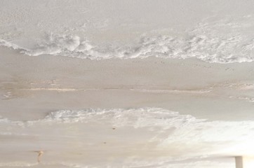 White Mildew Powdery appearance on ceiling