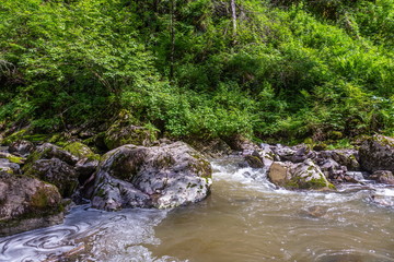 Stormy mountain river in the forest in Altai, Russia
