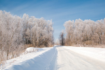 Fototapeta premium road in winter